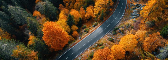 AdobeStock_1691017768