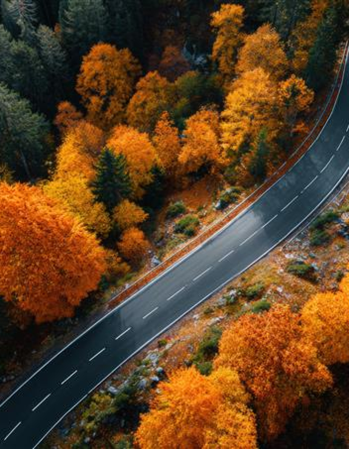 AdobeStock_1691017768